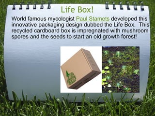 Life Box! World famous mycologist  Paul Stamets  developed this innovative packaging design dubbed the Life Box.  This recycled cardboard box is impregnated with mushroom spores and the seeds to start an old growth forest! 