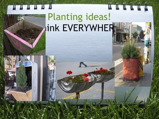 Planting ideas! Think EVERYWHERE! 