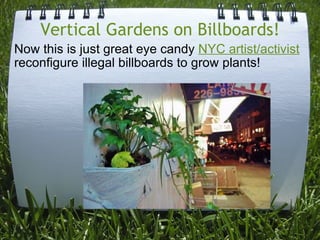 Vertical Gardens on Billboards! Now this is just great eye candy  NYC artist/activist  reconfigure illegal billboards to grow plants! 