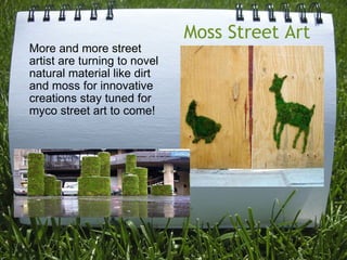 Moss Street Art More and more street artist are turning to novel natural material like dirt and moss for innovative creations stay tuned for myco street art to come! 