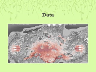 Guerilla Usability Testing