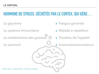 LE CORTISOL
HORMONE DE STRESS, SÉCRÉTÉE PAR LE CORTEX, QUI GÈRE…
La glycémie
Le système immunitaire
Le métabolisme des graisses
Le sommeil
▸ Fatigue générale
▸ Malade à répétition
▸ Troubles de l’appétit
▸ Insomnies/somnolence
Brain Heat : Catalin Boroi, the Noun Project
 