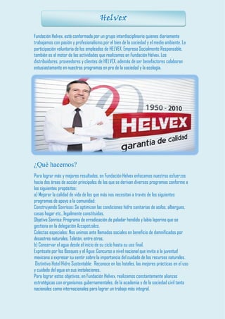 Fundación Helvex, está conformada por un grupo interdisciplinario quienes diariamente trabajamos con pasión y profesionalismo por el bien de la sociedad y el medio ambiente. La participación voluntaria de los empleados de HELVEX, Empresa Socialmente Responsable, también es el motor de las actividades que realizamos en Fundación Helvex. Los distribuidores, proveedores y clientes de HELVEX, además de ser benefactores colaboran entusiastamente en nuestros programas en pro de la sociedad y la ecología. 
¿Qué hacemos? 
Para lograr más y mejores resultados, en Fundación Helvex enfocamos nuestros esfuerzos hacia dos áreas de acción principales de las que se derivan diversos programas conforme a los siguientes propósitos: 
a) Mejorar la calidad de vida de los que más nos necesitan a través de los siguientes programas de apoyo a la comunidad: 
Construyendo Sonrisas: Se optimizan las condiciones hidro sanitarias de asilos, albergues, casas hogar etc., legalmente constituidas. 
Objetivo Sonrisa: Programa de erradicación de paladar hendido y labio leporino que se gestiona en la delegación Azcapotzalco. 
Colectas especiales: Nos unimos ante llamados sociales en beneficio de damnificados por desastres naturales, Teletón, entre otros. 
b) Conservar el agua desde el inicio de su ciclo hasta su uso final. 
Exprésate por los Bosques y el Agua: Concurso a nivel nacional que invita a la juventud mexicana a expresar su sentir sobre la importancia del cuidado de los recursos naturales. 
Distintivo Hotel Hidro Sustentable: Reconoce en los hoteles, las mejores prácticas en el uso y cuidado del agua en sus instalaciones. 
Para lograr estos objetivos, en Fundación Helvex, realizamos constantemente alianzas estratégicas con organismos gubernamentales, de la academia y de la sociedad civil tanto nacionales como internacionales para lograr un trabajo más integral. 
Helvex  