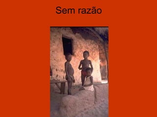 Sem razão
 