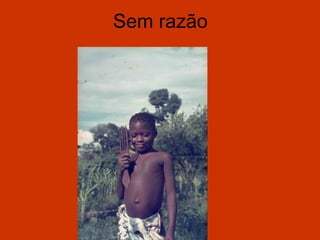 Sem razão
 