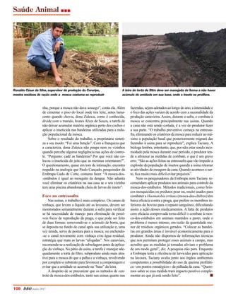 nha, porque a mosca não dava sossego”, conta ela. Além
de cimentar o piso do local onde tira leite, antes lama-
cento quando chovia, dona Zuleica, como é conhecida,
divide com o marido, Irones Alves de Souza, a tarefa de
não deixar acumular matéria orgânica perto dos cochos e
aplicar o inseticida nas bandeiras utilizadas para a redu-
ção populacional da mosca.
Sobre o resultado do trabalho, a proprietária sinteti-
za a seu modo: “Foi uma benção”. Com a franqueza que
a caracteriza, dona Zuleica não poupa nem os vizinhos
quando percebe alguma negligência nas ações de contro-
le. “Pergunto: cadê as bandeiras? Por que você não co-
locou o inseticida do jeito que as meninas orientaram?”.
O questionamento, quase em tom de intimação, encontra
respaldo na analogia que Paulo Cançado, pesquisador da
Embrapa Gado de Corte, costuma fazer. “A mosca-dos-
-estábulos é igual ao mosquito da dengue. Não adianta
você eliminar os criatórios na sua casa se o seu vizinho
tem uma piscina abandonada cheia de larvas do inseto”.
Foco na entressafra
Nas usinas, o trabalho é mais complexo. Os canais de
vinhaça, que levam o líquido até as lavouras, devem ser
monitorados semanalmente durante a safra para verificar
se há necessidade de manejo para eliminação de possí-
veis focos de reprodução da praga, o que pode ser feito
de duas formas: removendo-se o acúmulo de borra, que
se deposita no fundo do canal após sua utilização e, uma
vez úmida, serve de postura para a mosca; ou enchendo-
-se o canal novamente com vinhaça e/ou água residual,
estratégia que mata as larvas “afogadas”. Nos canaviais,
recomenda-se a realização de subsolagem antes da aplica-
ção da vinhaça. No pátio da usina, a tarefa é manejar ade-
quadamente a torta de filtro, subproduto ainda mais atra-
tivo para a mosca do que a palha e a vinhaça, revolvendo
por completo o substrato para favorecer a compostagem e
evitar que a umidade se acumule na “base” da leira.
A despeito de se preconizar que os métodos de con-
trole da mosca-dos-estábulos, tanto nas usinas quanto nas
fazendas, sejam adotados ao longo do ano, a intensidade e
o foco das ações variam de acordo com a sazonalidade da
produção canavieira. Assim, durante a safra, o combate à
mosca se concentra principalmente nas usinas. Quando
a cana não está sendo cortada, é a vez do produtor fazer
a sua parte. “O trabalho preventivo começa na entressa-
fra, eliminando os criatórios da mosca para reduzir ao má-
ximo a população basal que posteriormente migrará das
fazendas à usina para se reproduzir”, explica Taciany. A
bióloga lembra, entretanto, que, por não estar sendo inco-
modado pela mosca durante esse período, o produtor ten-
de a afrouxar as medidas de combate, o que é um grave
erro. “São as ações feitas na entressafra que vão impedir a
explosão da população de insetos quando a usina retomar
as atividades de moagem da cana. Quando acontece o sur-
to, fica muito mais difícil evitar prejuízos”.
Nem os pesquisadores da Embrapa nem Taciany re-
comendam aplicar produtos nos animais para controle da
mosca-dos-estábulos. Métodos tradicionais, como brin-
cos mosquicidas ou produtos pour on, muito usados para
combater a Haematobia irritans (mosca-dos-chifres) têm
baixa eficácia contra a praga, que prefere os membros in-
feriores do bovino para o repasto sanguíneo, dificultando
assim a ação desses medicamentos. A falta de produtos
com eficácia comprovada torna difícil o combate à mos-
ca-dos-estábulos em animais mantidos a pasto, onde o
problema é menos intenso, em razão da quantidade me-
nor de resíduos orgânicos gerados. “Colocar as bandei-
ras em grandes áreas é inviável economicamente para o
produtor. Ainda não dispomos de informações técnicas
que nos permitam proteger esses animais a campo, mas
acredito que as medidas já tomadas aliviam o problema
de um modo geral”, diz. A pesquisa não para. Enquanto
a Embrapa testa a eficiência de larvicidas para aplicação
na lavoura, Taciany avalia junto aos órgãos ambientais
competentes a possibilidade do uso da queima profiláti-
ca - em pontos estratégicos - da palhada da cana. “Quere-
mos saber se essa medida trará impacto positivo comple-
mentar ao que já está sendo feito”.  n
Ronaldo César da Silva, supervisor de produção da Coruripe,
mostra resíduos de ração onde a mosca costuma se reproduzir
A leira de torta de filtro deve ser manejada de forma a não haver
acúmulo de umidade em sua base, onde o inseto se prolifera.
Saúde Animal
108 DBO maio 2017
 