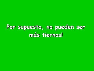 Por supuesto, no pueden ser más tiernos! 