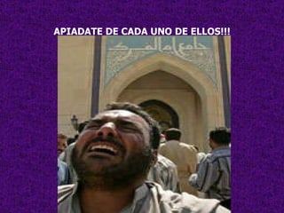 APIADATE DE CADA UNO DE ELLOS!!! 