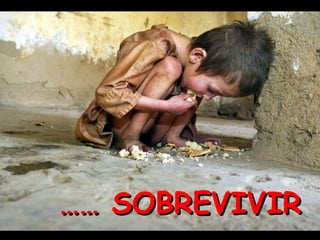 ……  SOBREVIVIR   