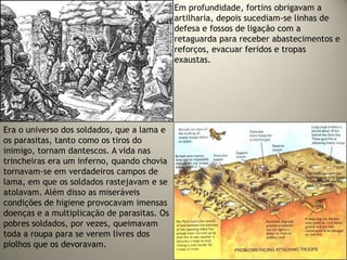 Em profundidade, fortins obrigavam a
                                             artilharia, depois sucediam-se linhas de
                                             defesa e fossos de ligação com a
                                             retaguarda para receber abastecimentos e
                                             reforços, evacuar feridos e tropas
                                             exaustas.




Era o universo dos soldados, que a lama e
os parasitas, tanto como os tiros do
inimigo, tornam dantescos. A vida nas
trincheiras era um inferno, quando chovia
tornavam-se em verdadeiros campos de
lama, em que os soldados rastejavam e se
atolavam. Além disso as miseráveis
condições de higiene provocavam imensas
doenças e a multiplicação de parasitas. Os
pobres soldados, por vezes, queimavam
toda a roupa para se verem livres dos
piolhos que os devoravam.
 