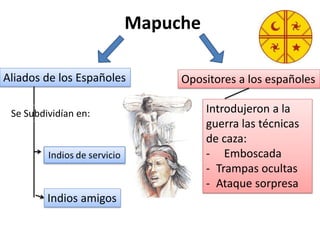 Mapuche
Opositores a los españolesAliados de los Españoles
Indios amigos
Se Subdividían en: Introdujeron a la
guerra las técnicas
de caza:
- Emboscada
- Trampas ocultas
- Ataque sorpresa
 