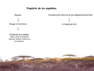 Propósito de los españoles
Fundación de ciudades.
1550 y 1552: Concepción,
Imperial, Valdivia, Villarrica y
Los Confines.
Incorporación efectiva de los indígenas (esclavitud)
A través de la feOcupar el territorio
Riqueza
 
