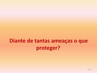 Diante de tantas ameaças o que
           proteger?


                             11/54
 