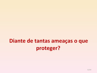 Diante de tantas ameaças o que proteger? /54 