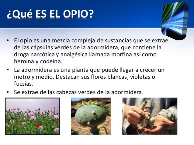 Guerras del opio