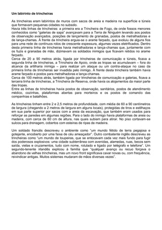 Um labirinto de trincheiras
As trincheiras eram labirintos de muros com sacos de areia e madeira na superfície e túneis
que formavam pequenas cidades no subsolo.
Havia três linhas de trincheiras: a primeira era a Trincheira de Fogo, de onde fossos menores
conhecidos como “galerias de sapa” avançavam para a Terra de Ninguém levando aos postos
de observação avançados, posições de lançamento de granadas, postos de metralhadoras e
de lança-chamas. À frente da trincheira erguia-se o arame farpado, que evoluiu de alguns fios
para uma rede de contínuos rolos de crescente espessura, algumas vezes eletrificados. Dentro
desta primeira linha de trincheiras havia metralhadoras e lança-chamas que, juntamente com
os fuzis e granadas de mão, dizimavam os soldados inimigos que ficavam retidos no arame
farpado.
Cerca de 20 a 90 metros atrás, ligada por trincheiras de comunicação e túneis, ficava a
segunda linha de trincheiras, a Trincheira de Apoio, onde as tropas se acumulavam – fora do
alcance da artilharia inimiga – para realizar um ataque ou um contra-ataque no caso da
primeira linha de trincheiras ser invadida pelo inimigo. À frente desta trincheira também havia
arame farpado e postos para metralhadoras e lança-chamas.
Cerca de 100 metros atrás, também ligada por trincheiras de comunicação e galerias, ficava a
terceira linha de trincheiras, a Trincheira de Reserva, onde havia os alojamentos da maior parte
das tropas.
Entre as linhas de trincheiras havia postos de observação, sanitários, postos de atendimento
médico, cozinhas, plataformas abertas para morteiros e os postos de comando das
companhias e batalhões.
As trincheiras tinham entre 2 e 2,5 metros de profundidade, com média de 60 a 90 centímetros
de largura (chegando a 2 metros de largura em alguns locais), protegidas de tiros e estilhaços
em sua parte superior por sacos com a areia da escavação, que também eram usados para
reforçar as paredes em algumas regiões. Para o lado do inimigo havia plataformas de areia ou
madeira, com cerca de 60 cm de altura, nas quais subiam para atirar. No piso cortavam-se
sulcos para drenagem, cobertos com esteiras de ripas de madeira.
Um soldado francês descreveu o ambiente como “um mundo fétido de terra pegajosa e
gotejante, encoberto por uma faixa de céu ameaçador”. Outro combatente inglês descreveu as
trincheiras como “um mundo de toupeiras, que se entocavam cada vez mais fundo para fugir
dos poderosos explosivos: uma cidade subterrânea com avenidas, alamedas, ruas, becos sem
saída, vielas e cruzamentos, tudo com nome, rotulado e ligado por telégrafo e telefone”. Um
segundo-tenente irlandês explicou à família que “qualquer avanço ou recuo forçava o
abandono de velhas trincheiras, mas um novo front significava cavar novas ou, com frequência,
reivindicar antigas. Muitos sistemas mudaram de mãos diversas vezes”.
 