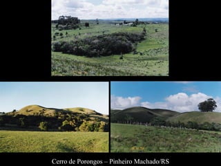 Cerro de Porongos – Pinheiro Machado/RS 