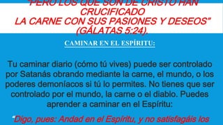 “PERO LOS QUE SON DE CRISTO HAN
CRUCIFICADO
LA CARNE CON SUS PASIONES Y DESEOS”
(GÁLATAS 5:24).
CAMINAR EN EL ESPÍRITU:
Tu caminar diario (cómo tú vives) puede ser controlado
por Satanás obrando mediante la carne, el mundo, o los
poderes demoníacos si tú lo permites. No tienes que ser
controlado por el mundo, la carne o el diablo. Puedes
aprender a caminar en el Espíritu:
“Digo, pues: Andad en el Espíritu, y no satisfagáis los
 