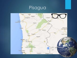 Pisagua
 
