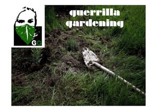 guerrilla
gardening
 