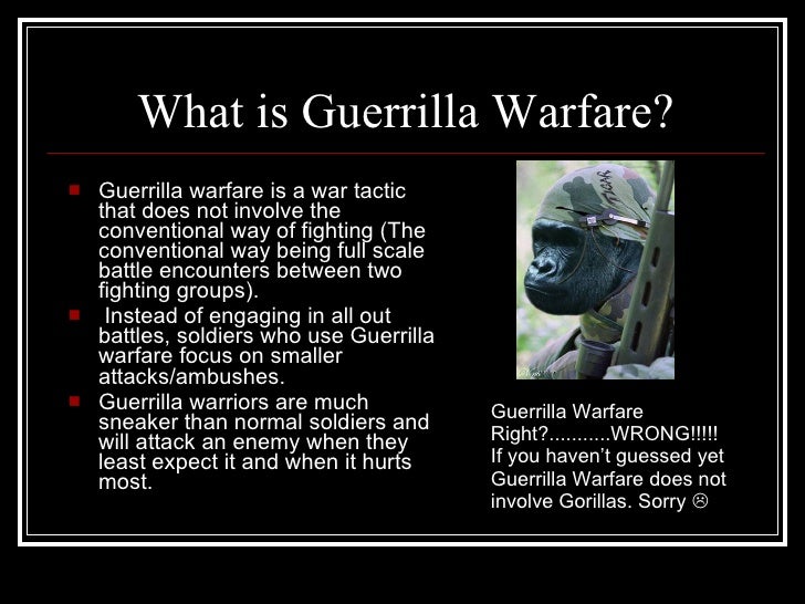 Guerrilla Warfare David Salk