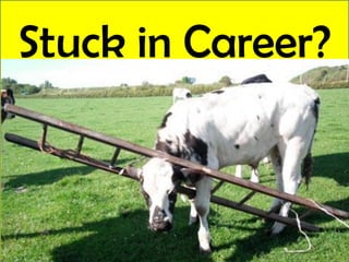 Stuck in Career?

 