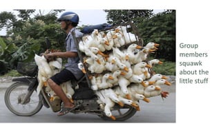 Group
members
squawk
about the
little stuff
 