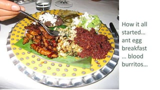 How it all
started…
ant egg
breakfast
… blood
burritos…
 