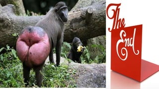 Guerrilla Tactics for the Difficult Client (2015)