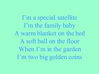 Im a special satellite Im the family baby A warm blanket on the bed A soft ball on the floor When Im in the garden Im two big golden coins 