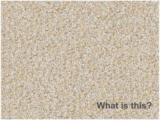 What is this? 