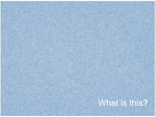What is this ? 