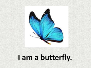 I am a butterfly.
 