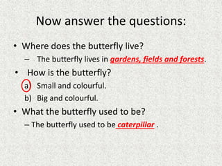 Now answer the questions:
• Where does the butterfly live?
– The butterfly lives in gardens, fields and forests.
• How is the butterfly?
a) Small and colourful.
b) Big and colourful.
• What the butterfly used to be?
– The butterfly used to be caterpillar .
 