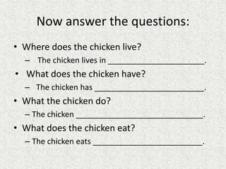 Now answer the questions:
• Where does the chicken live?
– The chicken lives in ______________________.
• What does the chicken have?
– The chicken has _________________________.
• What the chicken do?
– The chicken _____________________________.
• What does the chicken eat?
– The chicken eats _________________________.
 