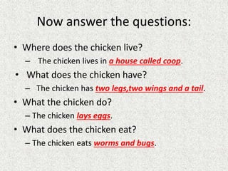 Now answer the questions:
• Where does the chicken live?
– The chicken lives in a house called coop.
• What does the chicken have?
– The chicken has two legs,two wings and a tail.
• What the chicken do?
– The chicken lays eggs.
• What does the chicken eat?
– The chicken eats worms and bugs.
 