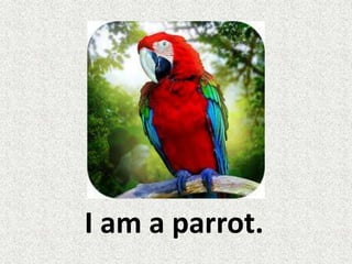I am a parrot.
 