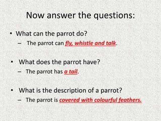 Now answer the questions:
• What can the parrot do?
– The parrot can fly, whistle and talk.
• What does the parrot have?
– The parrot has a tail.
• What is the description of a parrot?
– The parrot is covered with colourful feathers.
 