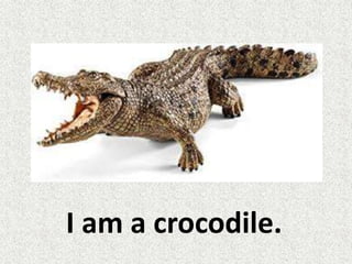 I am a crocodile.
 