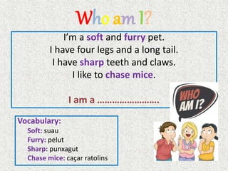 Who am I?
I’m a soft and furry pet.
I have four legs and a long tail.
I have sharp teeth and claws.
I like to chase mice.
I am a …………………….
Vocabulary:
Soft: suau
Furry: pelut
Sharp: punxagut
Chase mice: caçar ratolins
 