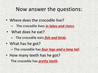 Now answer the questions:
• Where does the crocodile live?
– The crocodile lives in lakes and rivers.
• What does he eat?
– The crocodile eats fish and birds.
• What has he got?
– The crocodile has four legs and a long tail.
• How many teeth has he got?
The crocodile has pretty teeth.
 