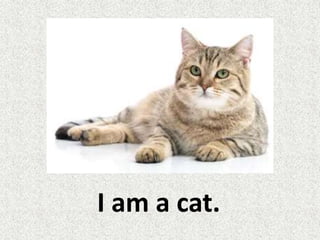 I am a cat.
 
