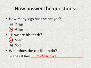 Now answer the questions:
• How many legs has the cat got?
a) 2 legs
b) 4 legs
• How are his teeth?
a) Sharp
b) Soft
• What does the cat like to do?
– The cat likes ___to chase mice_______________ .
v
 
