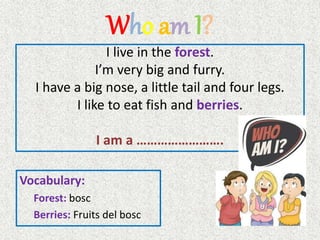 Who am I?
I live in the forest.
I’m very big and furry.
I have a big nose, a little tail and four legs.
I like to eat fish and berries.
I am a …………………….
Vocabulary:
Forest: bosc
Berries: Fruits del bosc
 