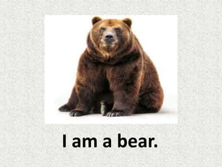 I am a bear.
 