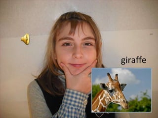 giraffe 