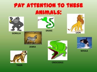 animal description guessing game