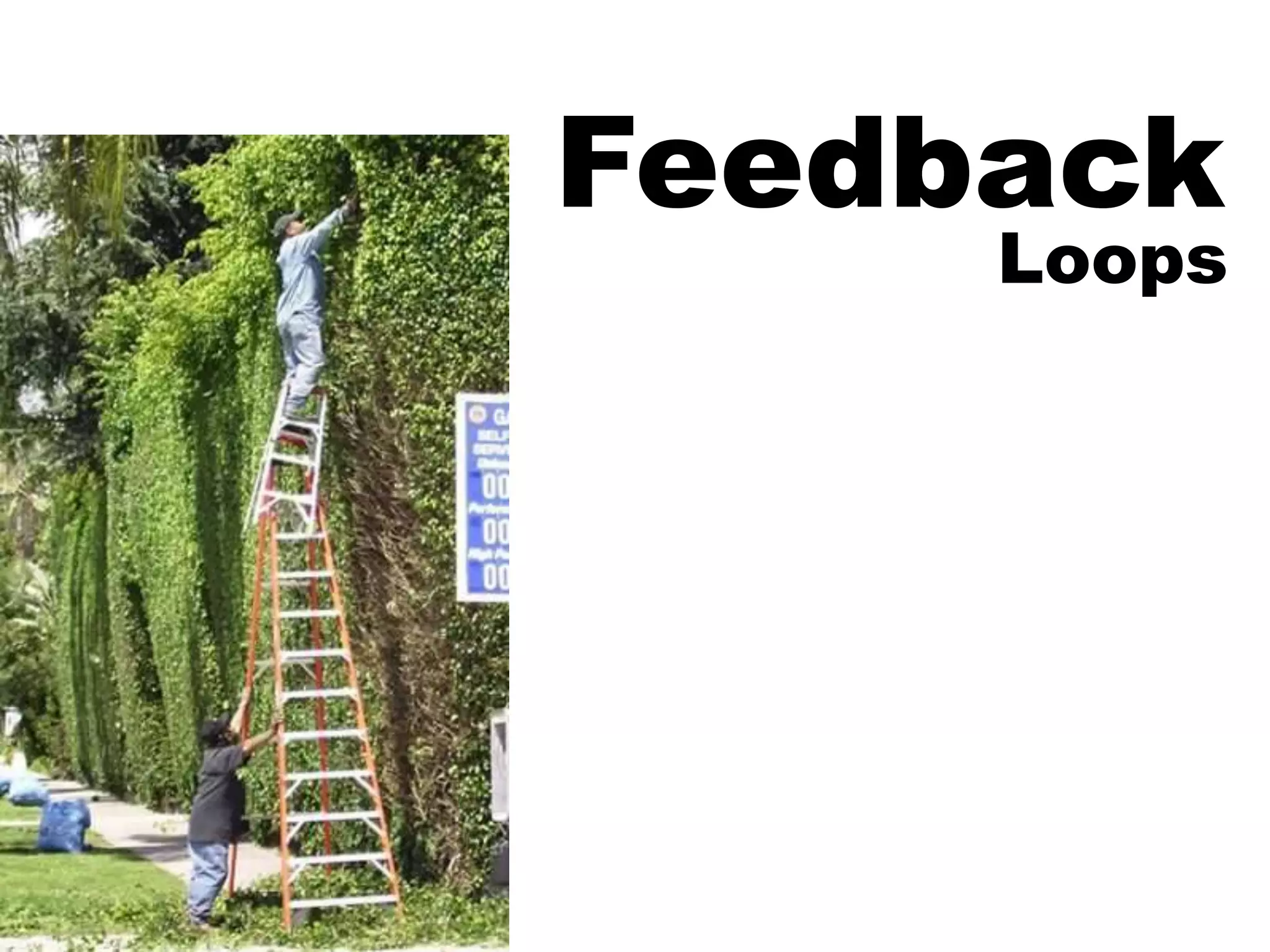 Are You Guessing or Learning?   Project Management in Chaotic Times