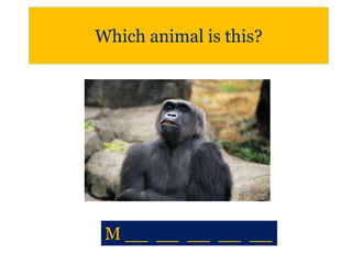 Which animal is this?
M __ __ __ __ __
 
