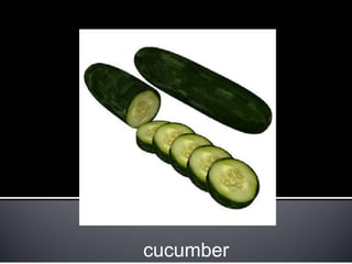 cucumber
 